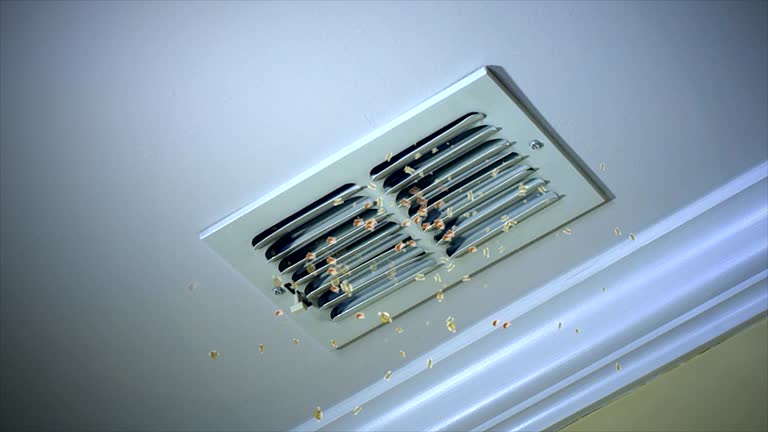 Best Emergency Air Duct Cleaning  in , FL