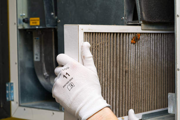 Best HVAC System Cleaning  in , FL