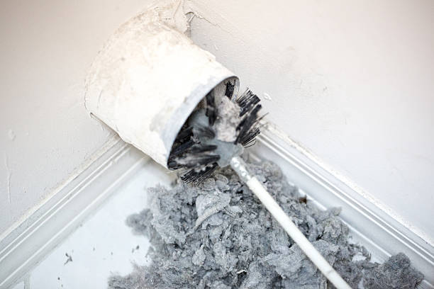 Best Affordable Air Duct Cleaning  in , FL
