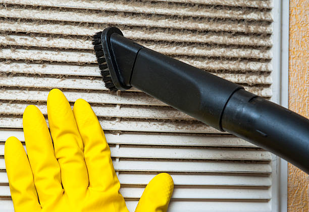 Best Ductwork Cleaning Services  in , FL